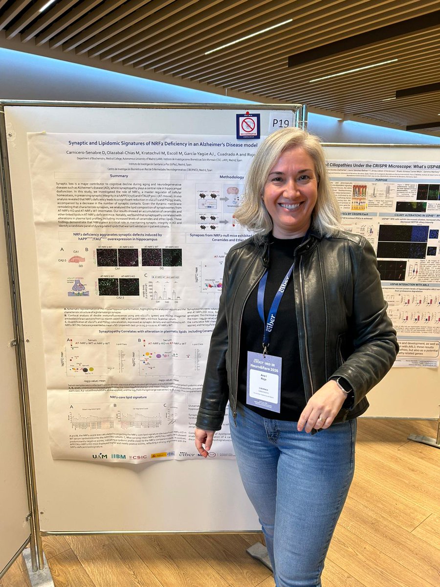 NRF2LabIIB's tweet photo. Esta semana, nuestros compañeros Ángel y Ana están presentando sus trabajos en el congreso conjunto Neuro&amp;Rare del @CIBER_ISCIII en los posters 73 y 19, aprovechando la oportunidad de mostrar nuestros avances en el uso de hexarafano y lipidómica en Alzheimer @IIBmCSICUAM. https://t.co/zIrHCUYp9e