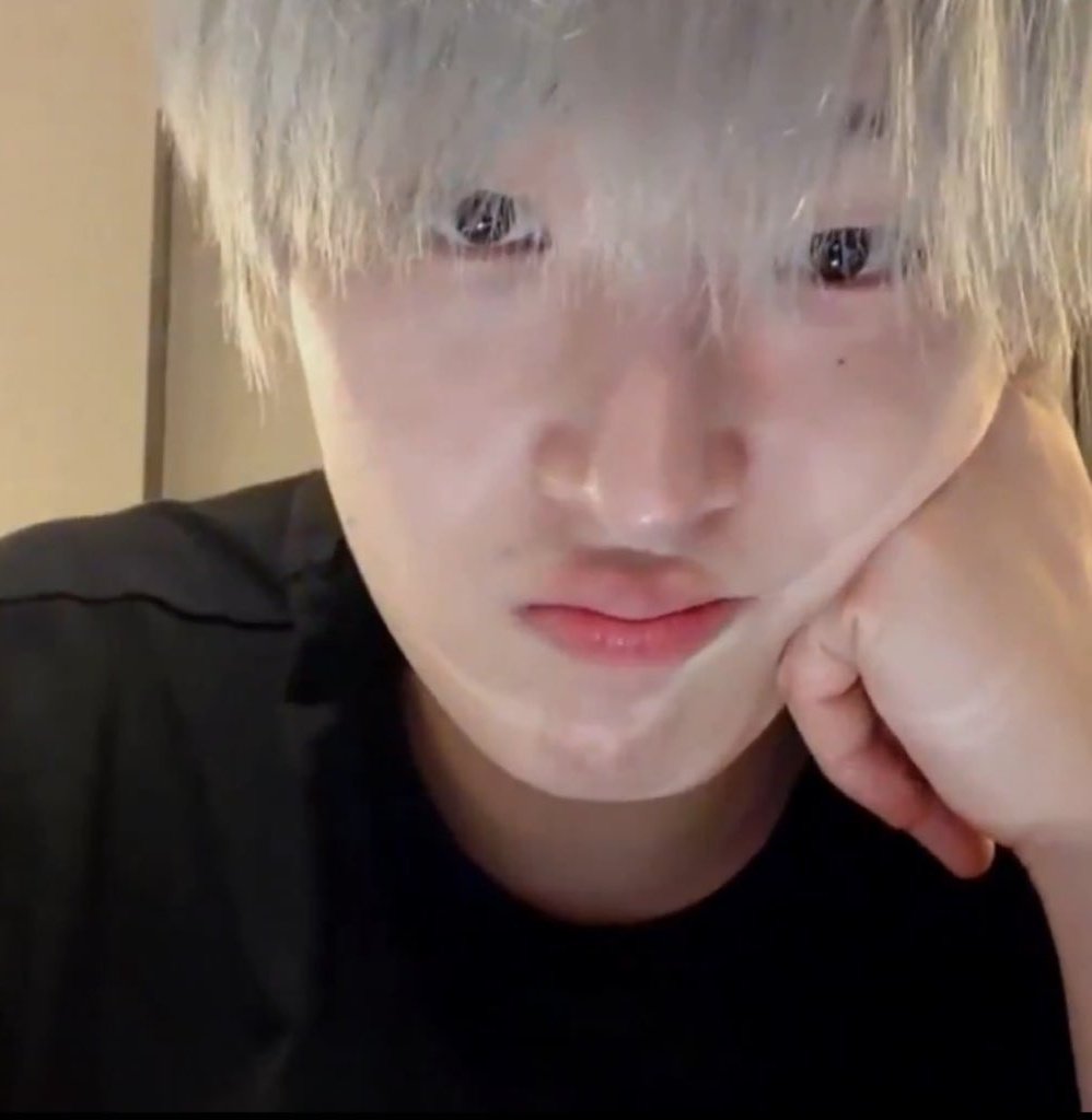 𑣲Ree𖦹|| semi ia tweet media