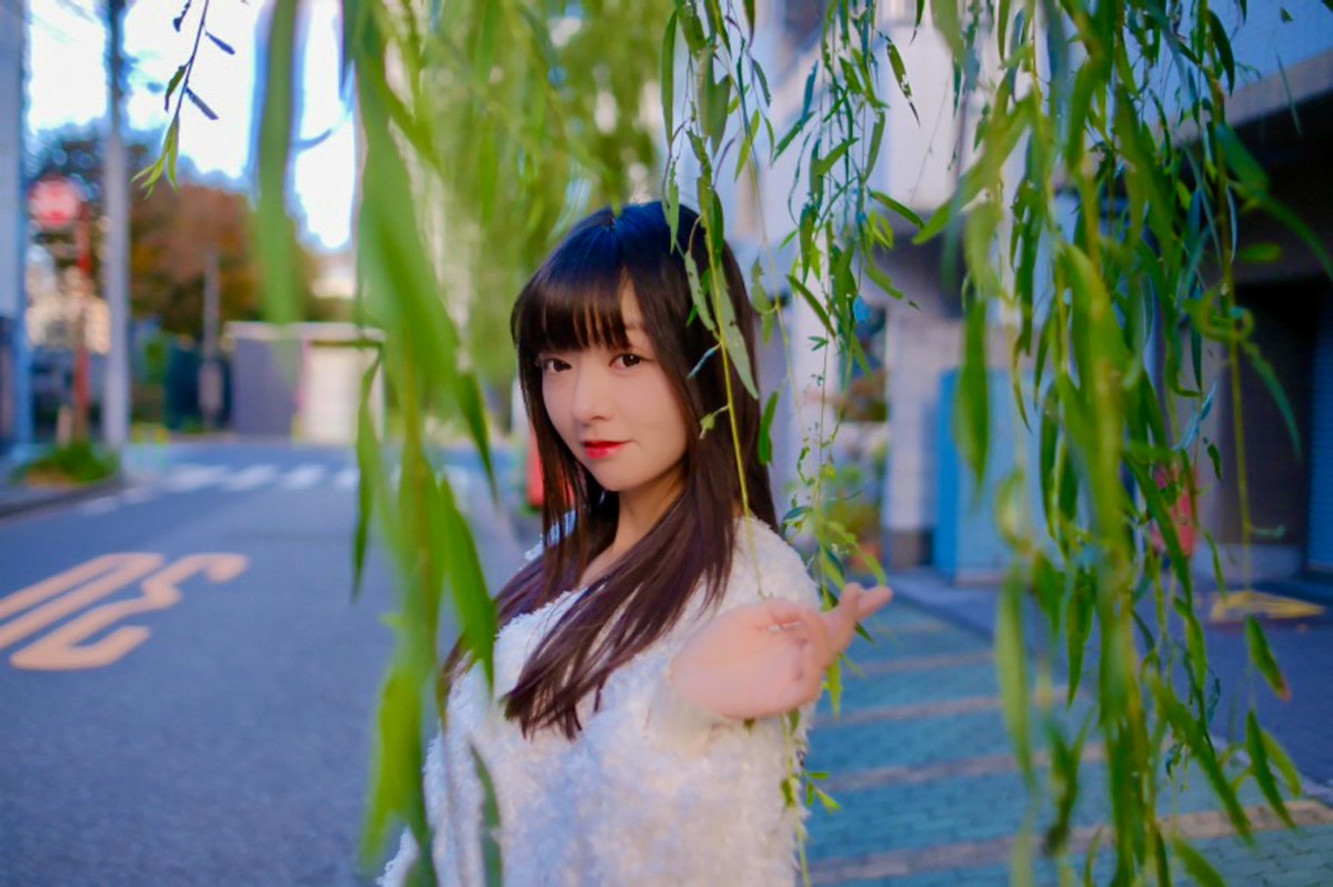 yonmo ˙ᵕ˙⑅ tweet media