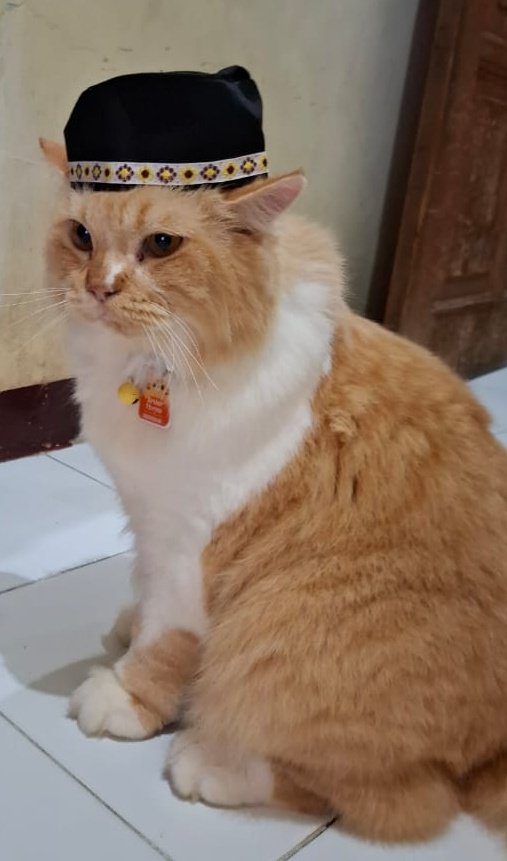 Arthur-nya mas Jawa tweet media