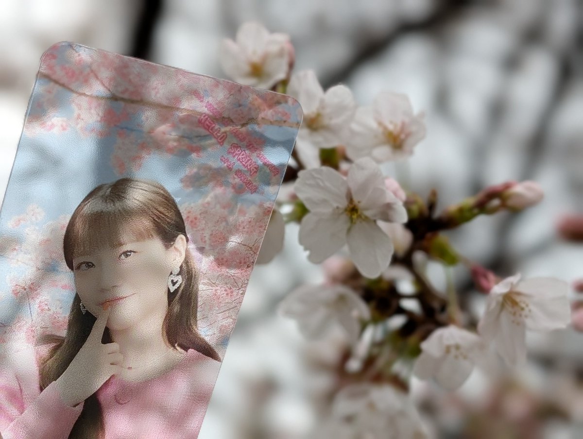 GAROKARA(가로) tweet media