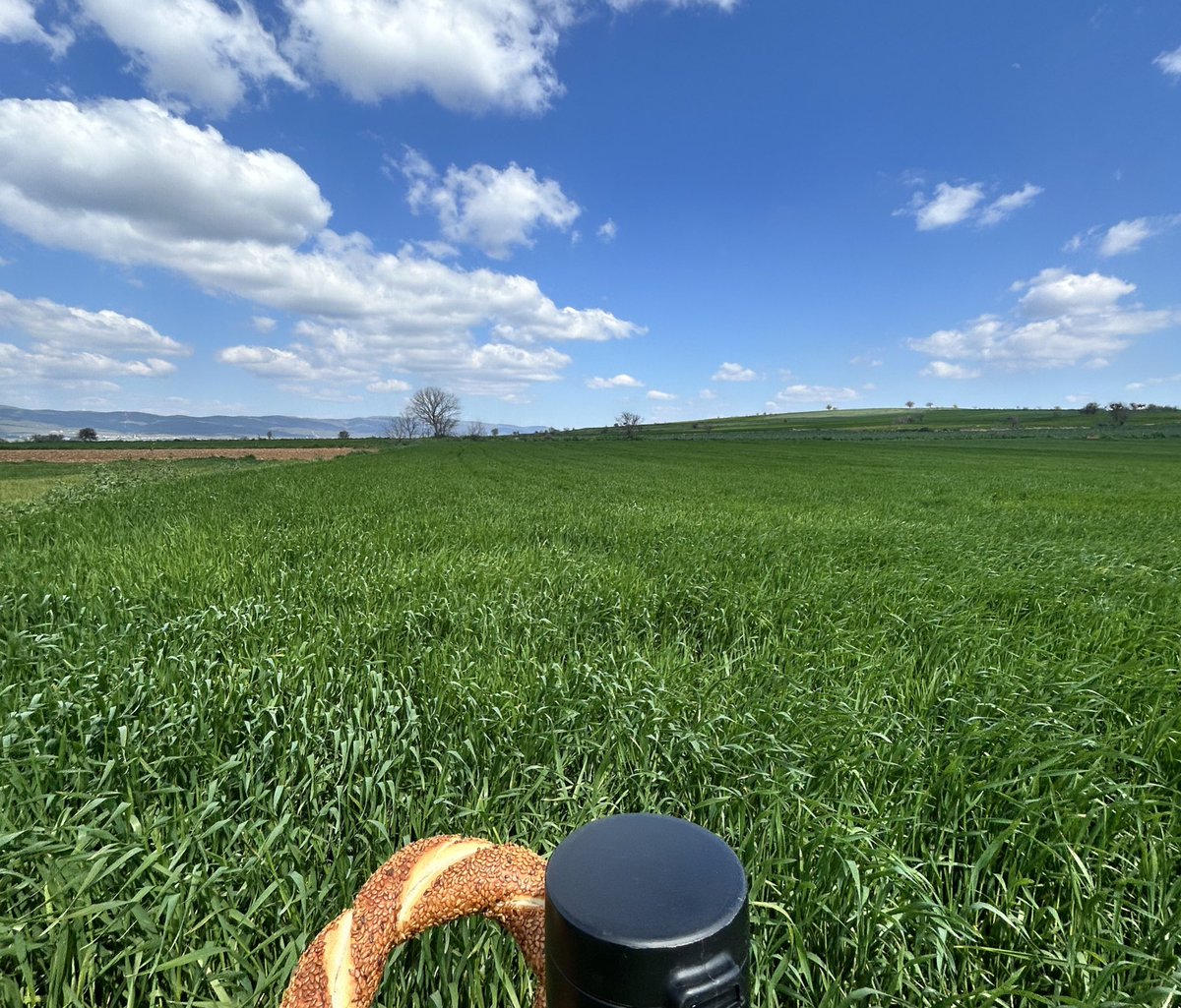 birliman tweet media