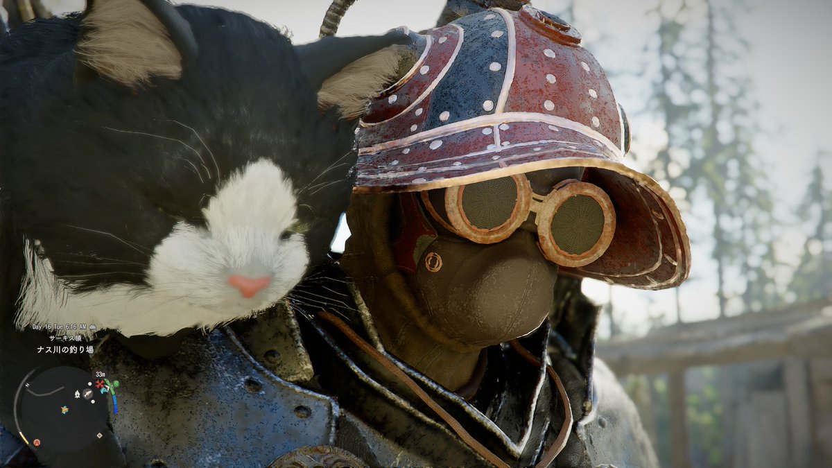 範馬🦭 tweet media