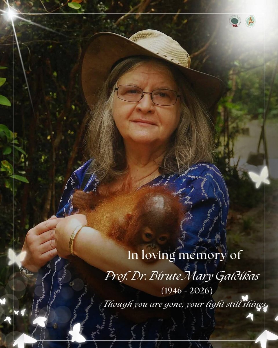 World Animal Protection India tweet media