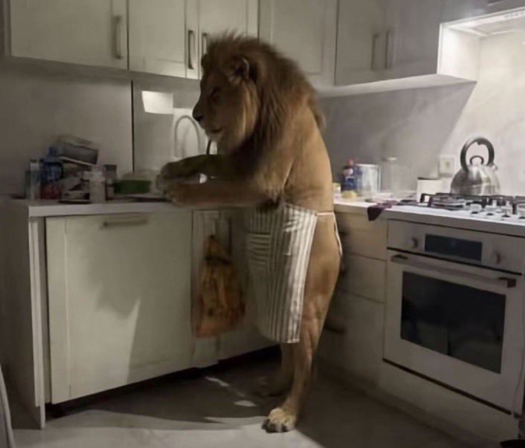 عبْدالله الزيدي tweet media