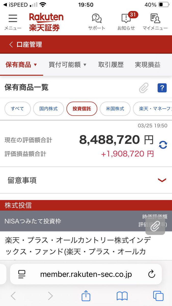 ねこわいん tweet media