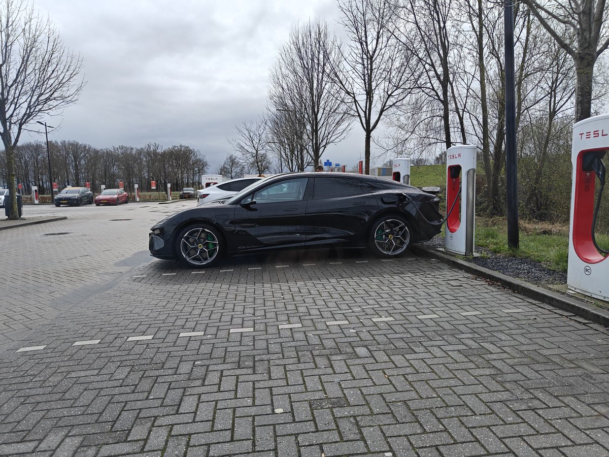 Wilfred 📊 tweet media