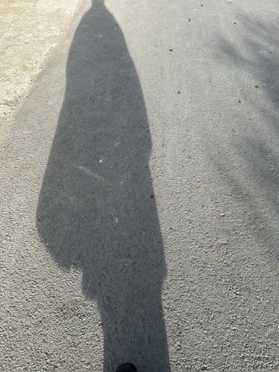 wiyayapages tweet media