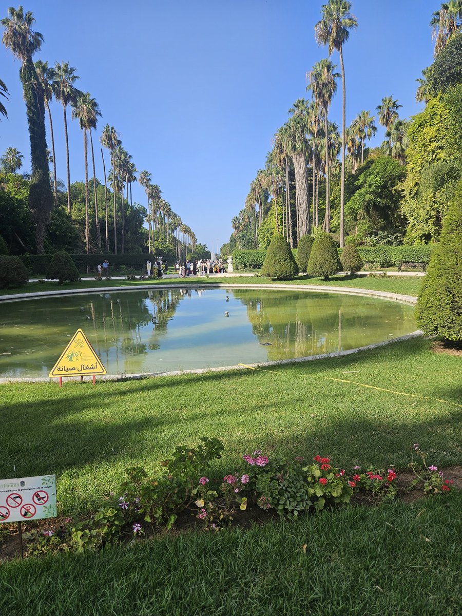 zak ou🇩🇿ⵣ tweet media