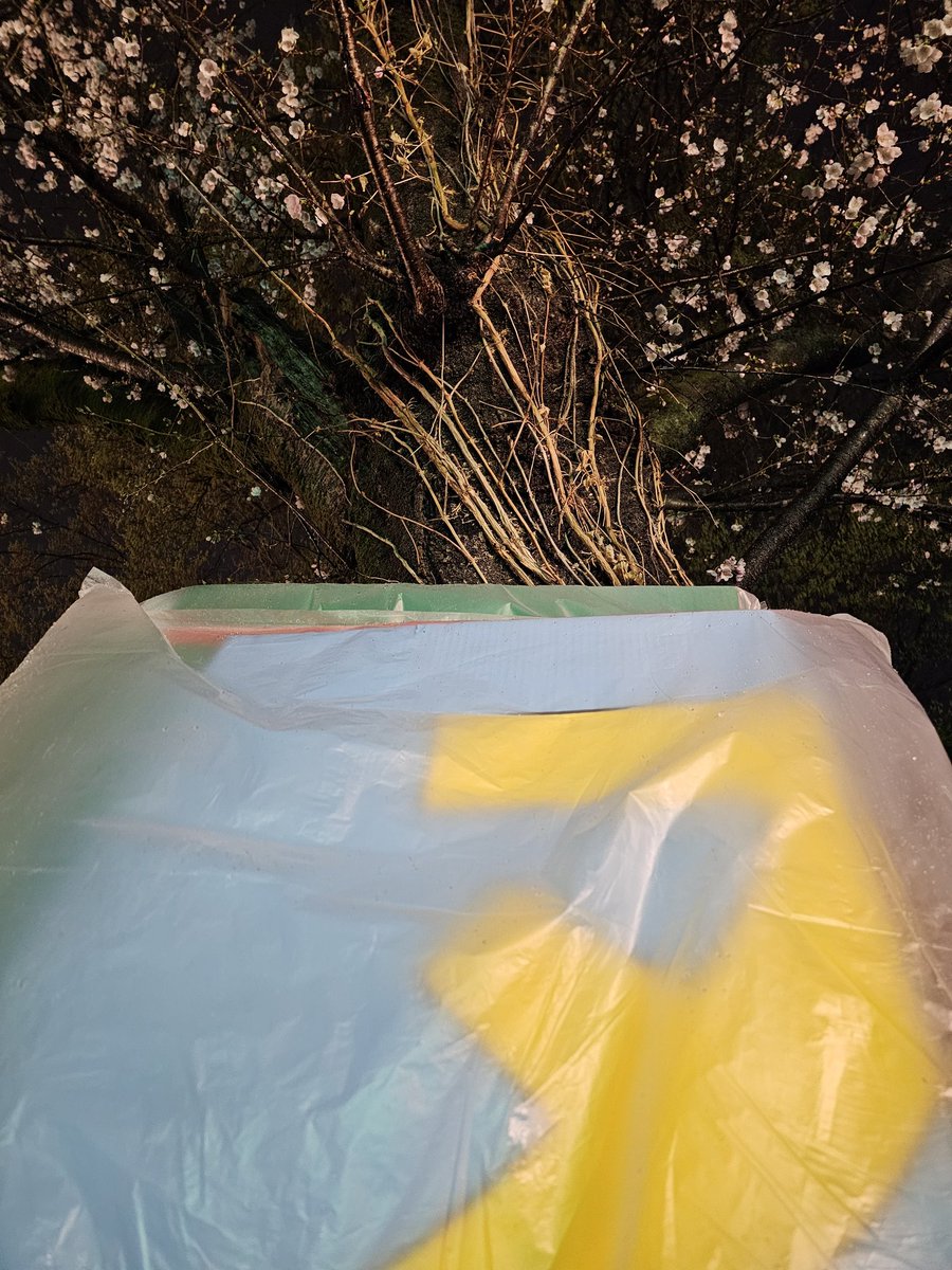 もう中学生 tweet media