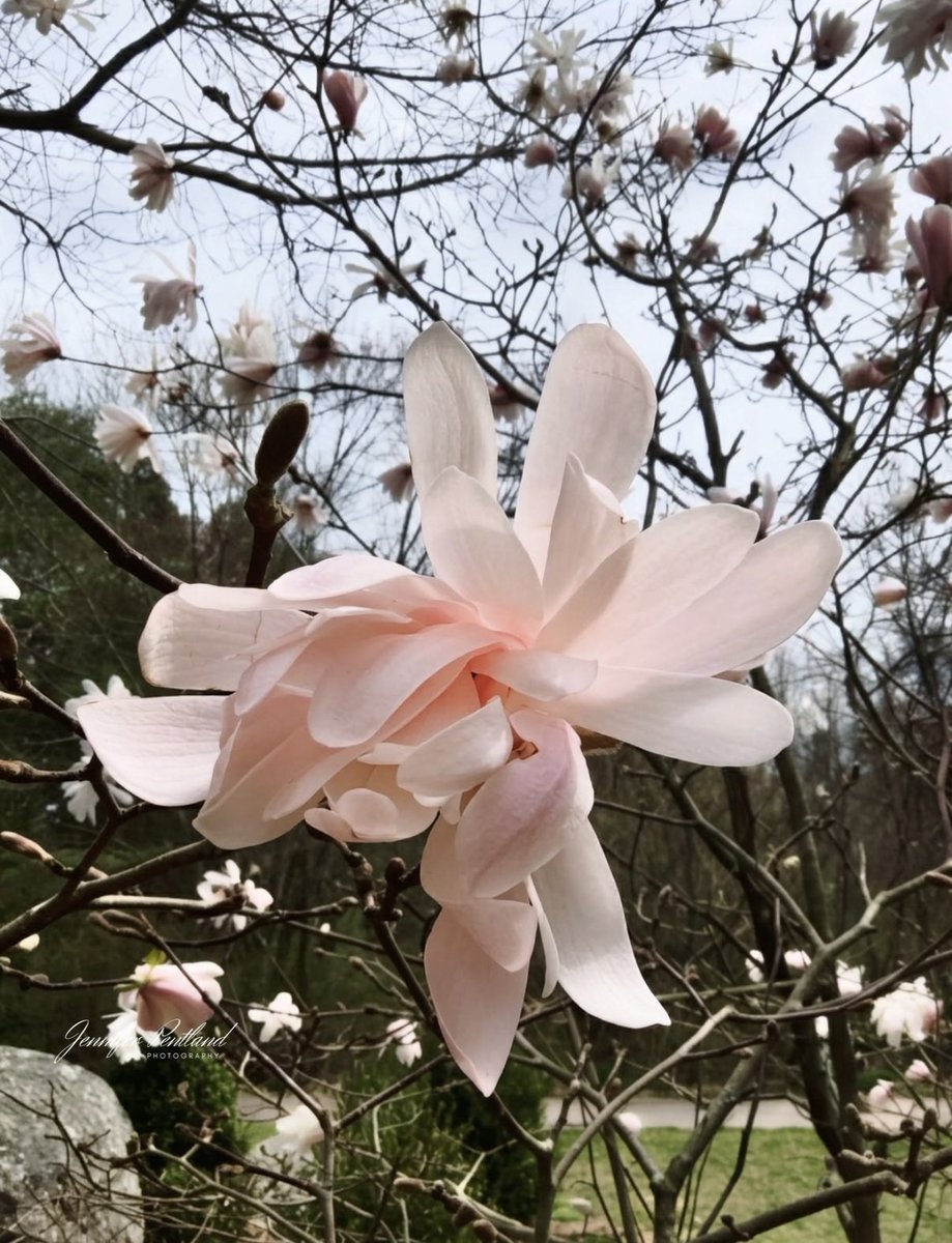 Jennifer tweet media