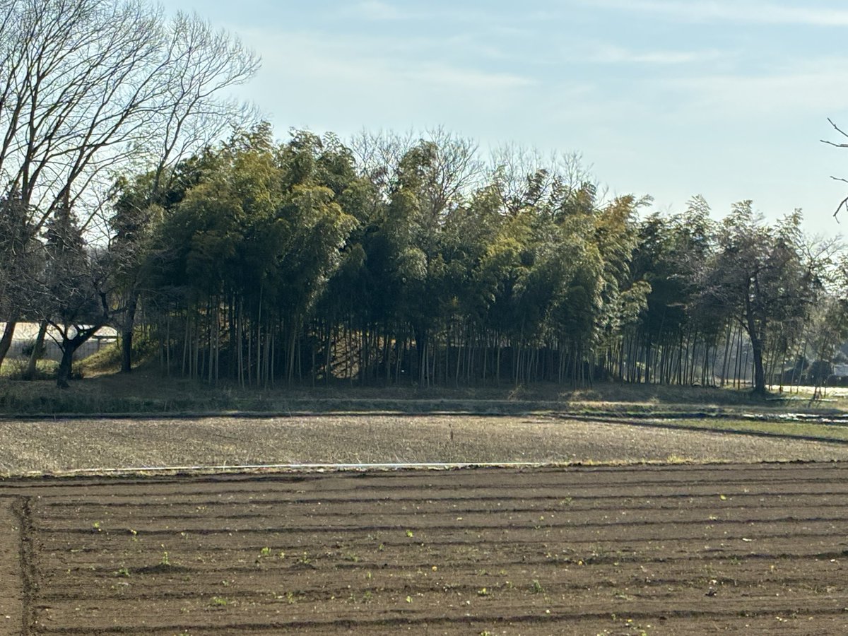 エクスタミネーター@川口泰広 AIMINGHIGH tweet media