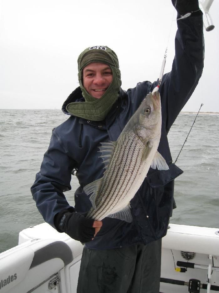 daily ween dose tweet media