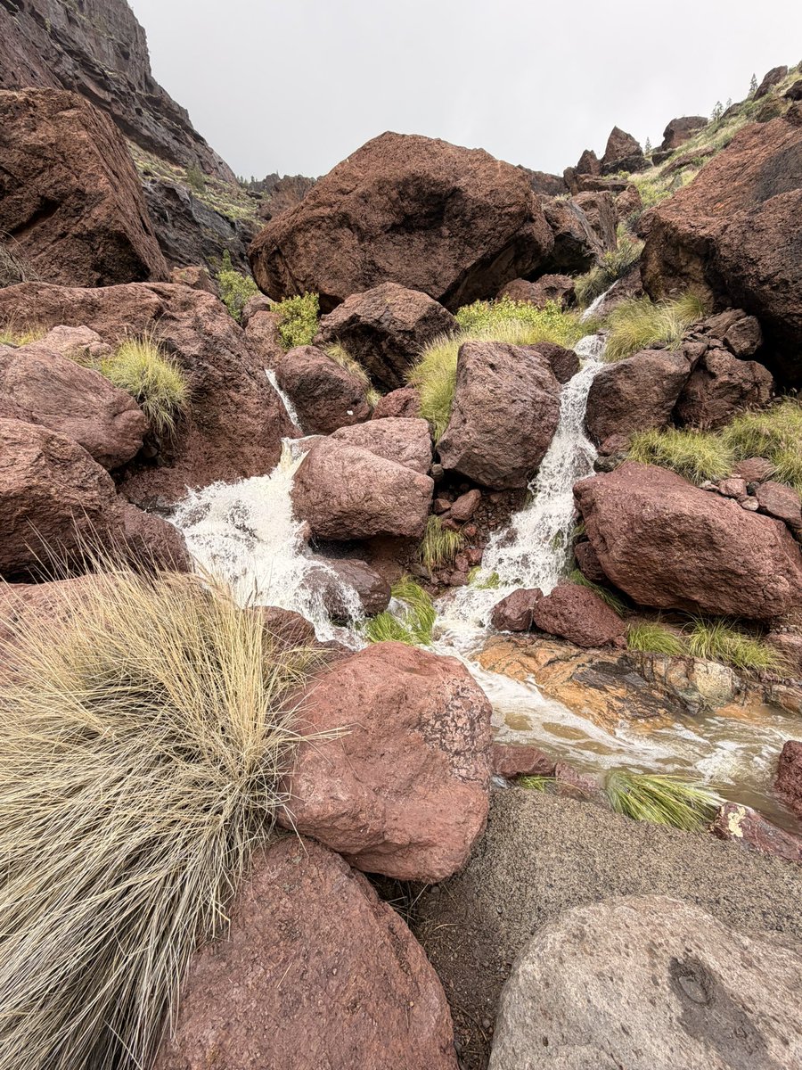 MeteoGarza⚡ tweet media