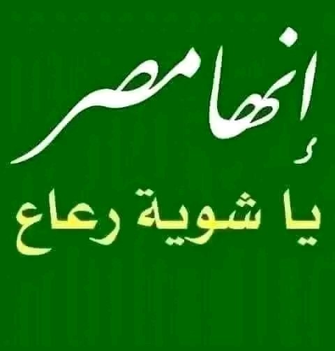 🇪🇬 🇵🇸فُـأّطِمًةّ أّلَ مًوٌسِـى 🇵🇸 🇪🇬 tweet media