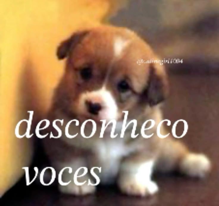 Jô 🫧 🪾 𖣂 ❦ ⚘ tweet media