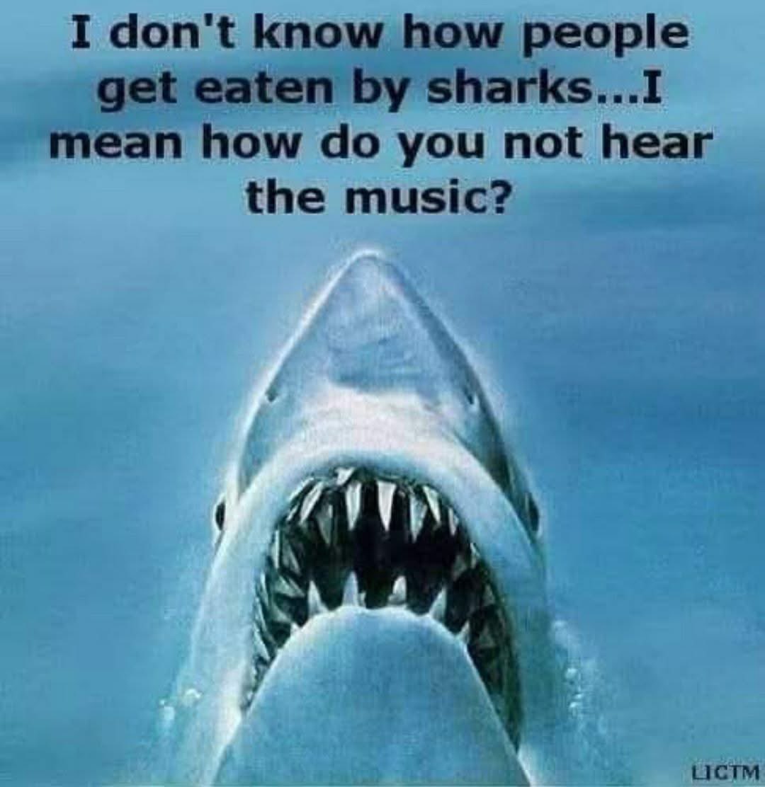 Chad Chaddington tweet media