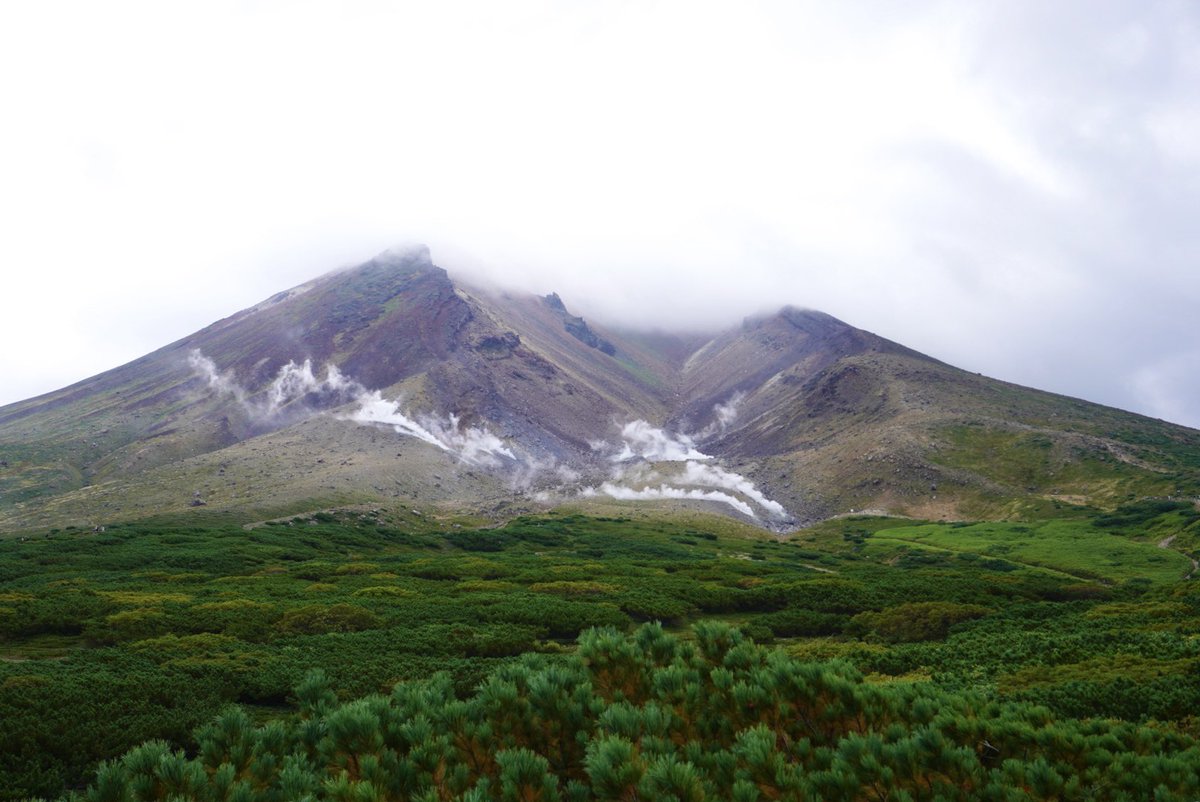 ery_zy's tweet photo. 8月下旬は山登り🏔️
行き先はカムイ・ミンタラ（神々が遊ぶ庭）

北海道の最高峰、旭岳山頂を目指したけど
6号目で勇気ある撤退しました👏

ロープ一本超えてしまったら神の御前に触れてしまいそうで（法にも触れる）恐ろしい。死後の世界はお花畑じゃなくて、実際こんな感じなのかななんて思ったり👼 https://t.co/MsYJZjwxRX
