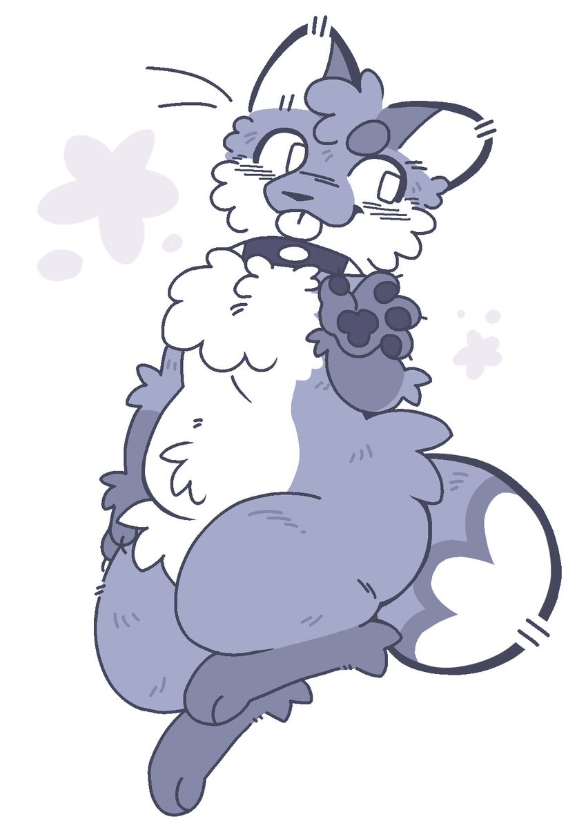 ⁑ foxed ❁ tweet media