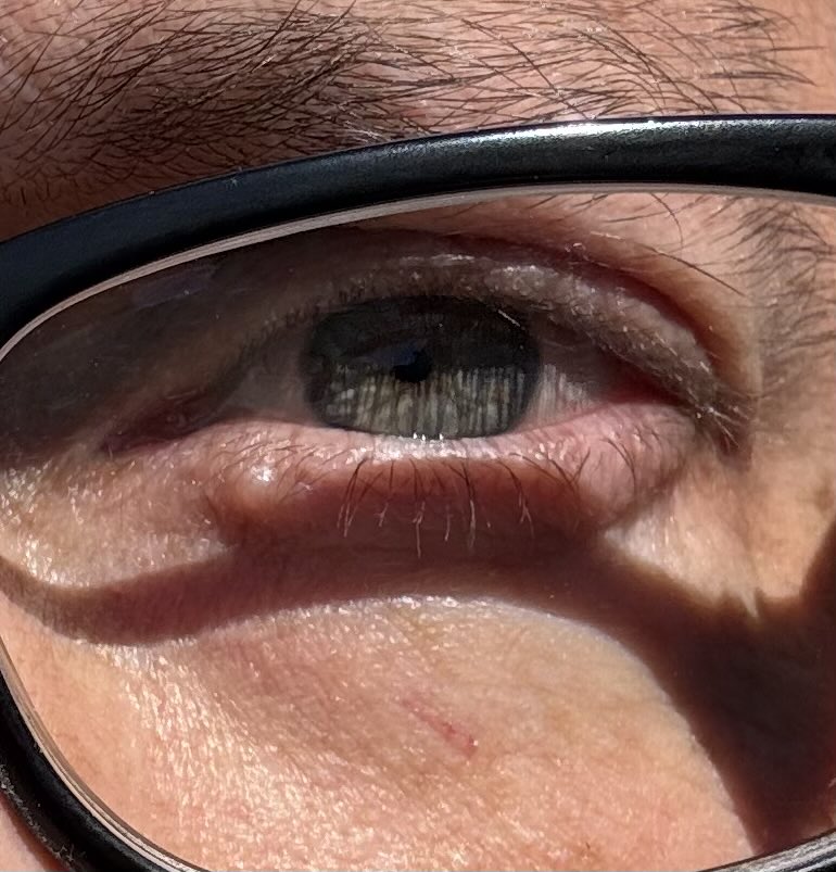 the username was available tweet media