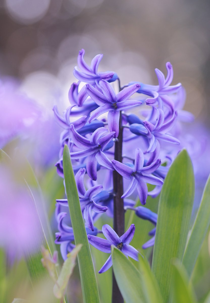 かえたろう tweet media