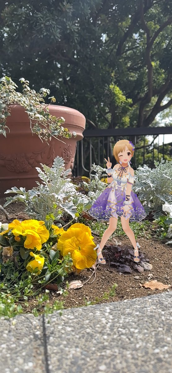 メリハリ tweet media