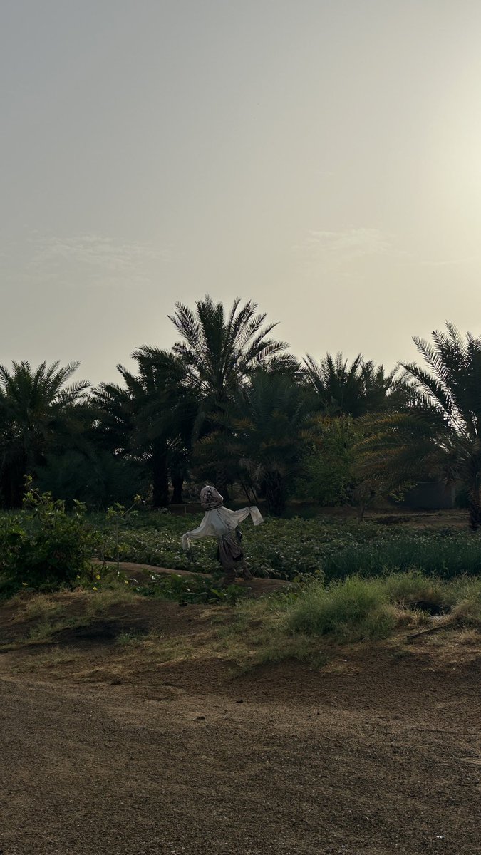 PT.متعب ال متعب tweet media