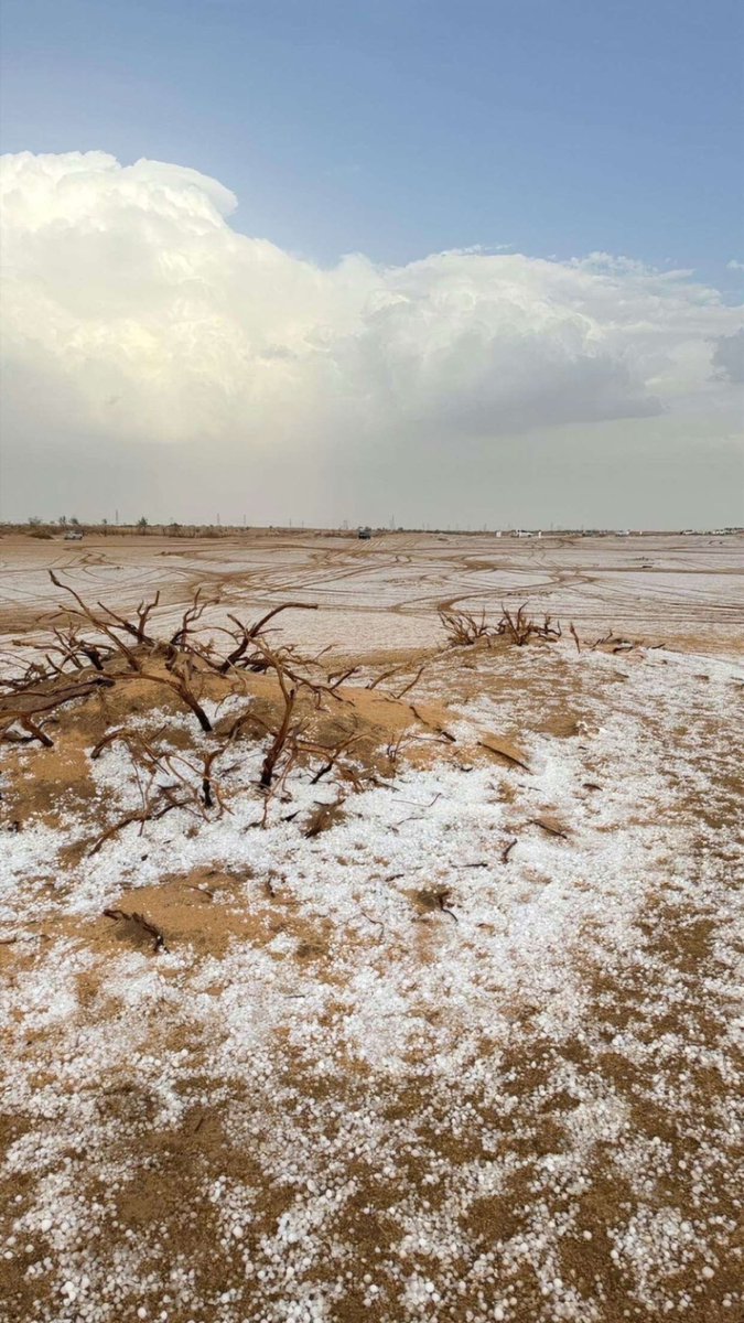 PT.متعب ال متعب tweet media