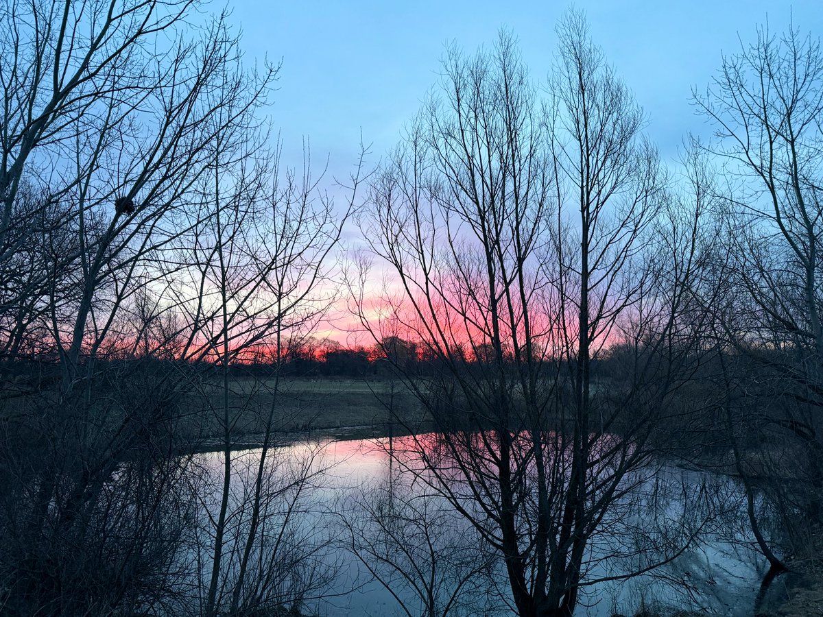 Jeff Nasca tweet media