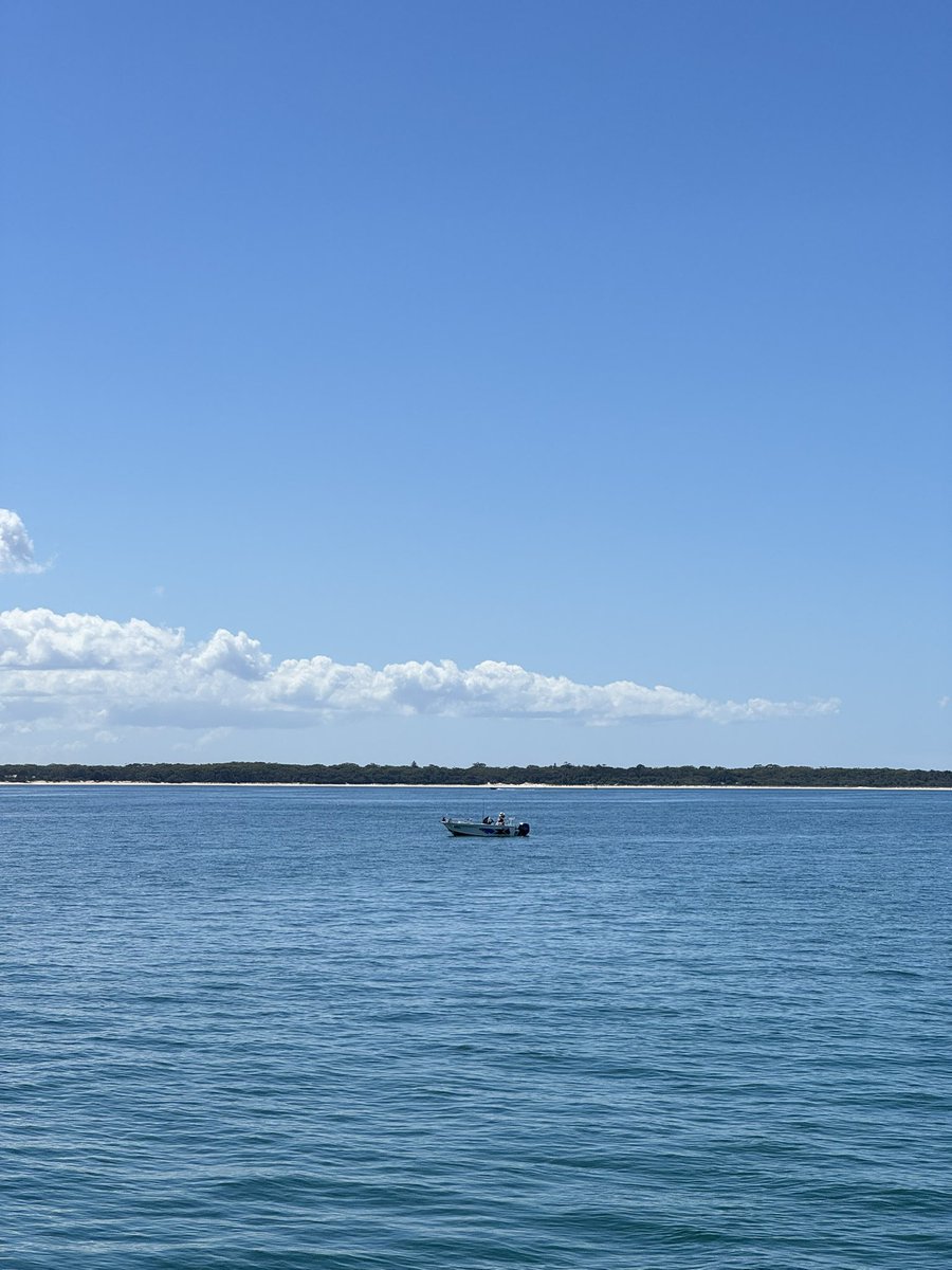 Martin Luk tweet media