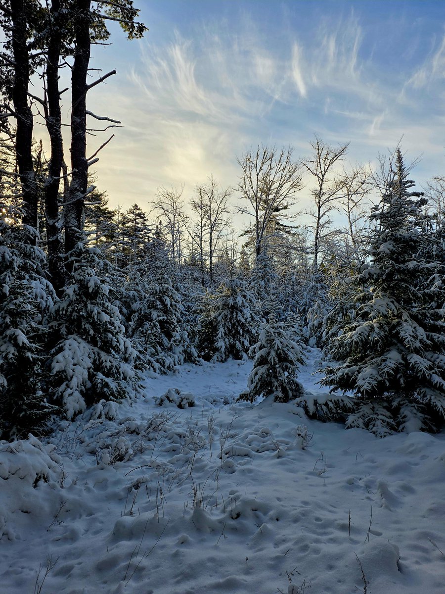 Philip Melanson tweet media