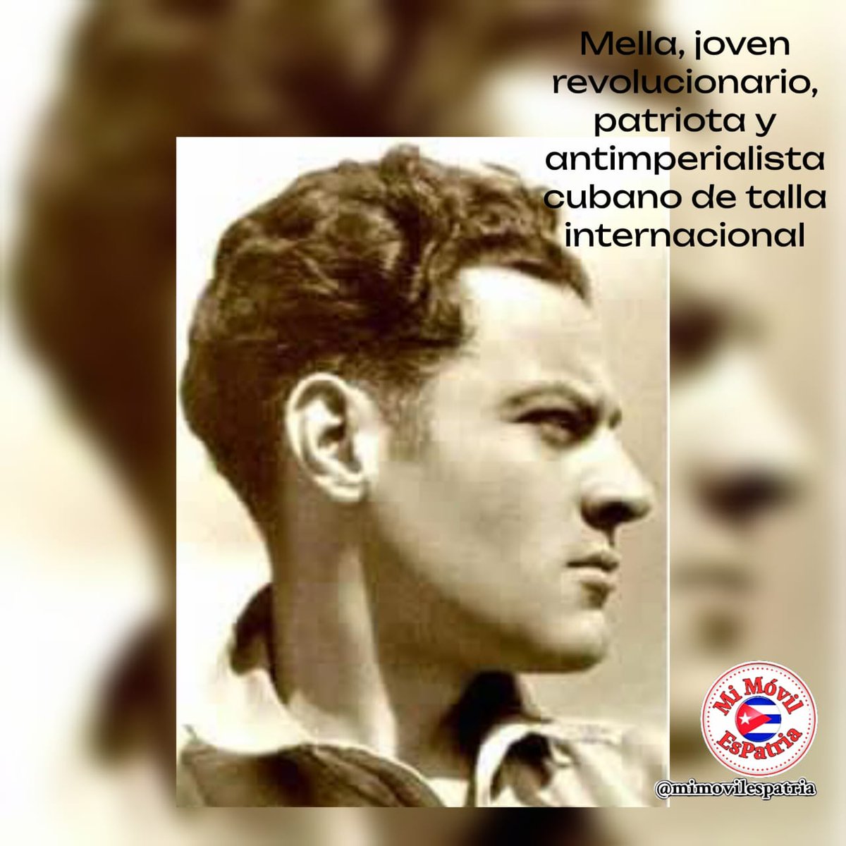 mimovilespatria tweet media