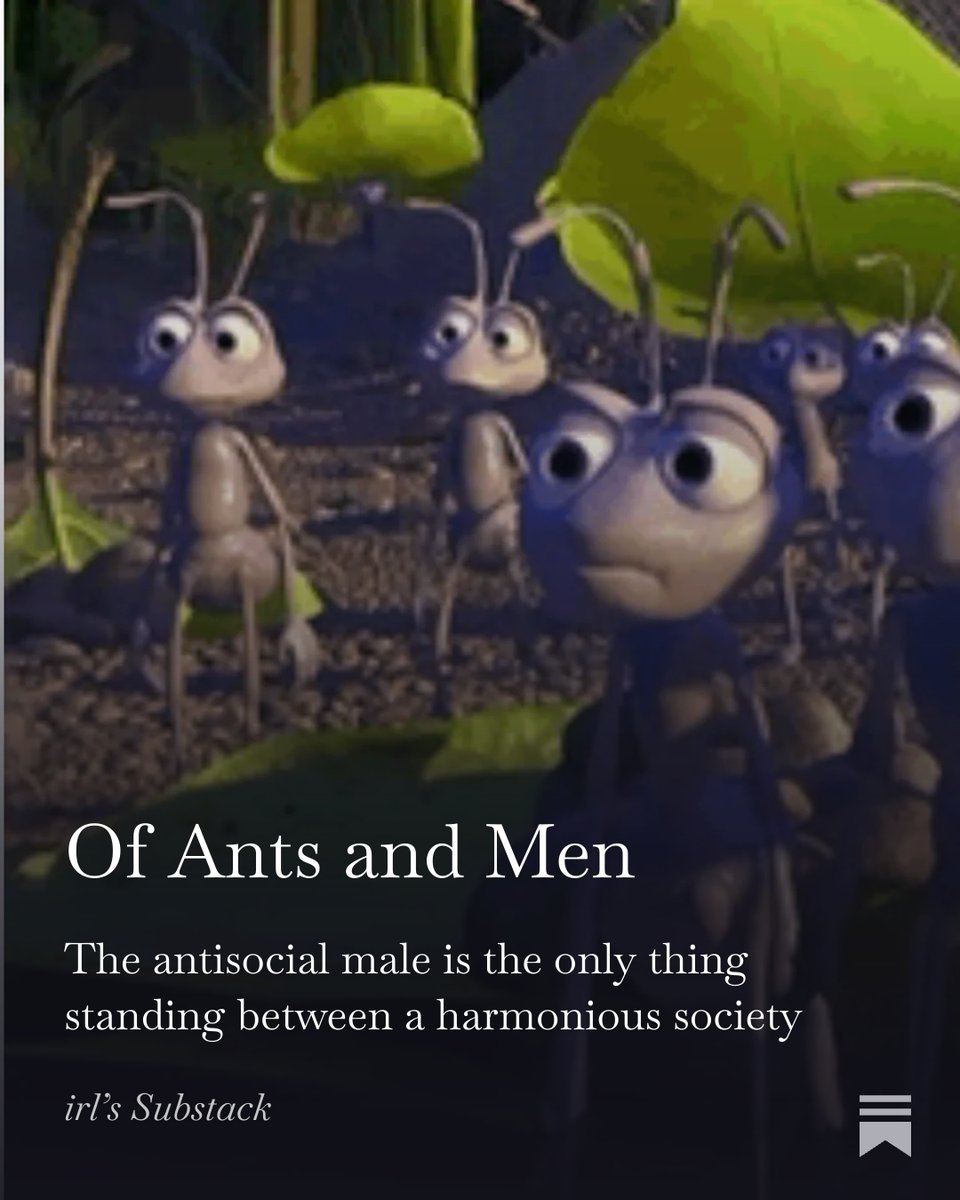 irl girl tweet media