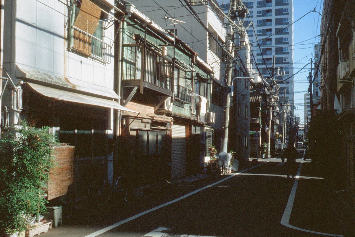 路地とタテモノ tweet media