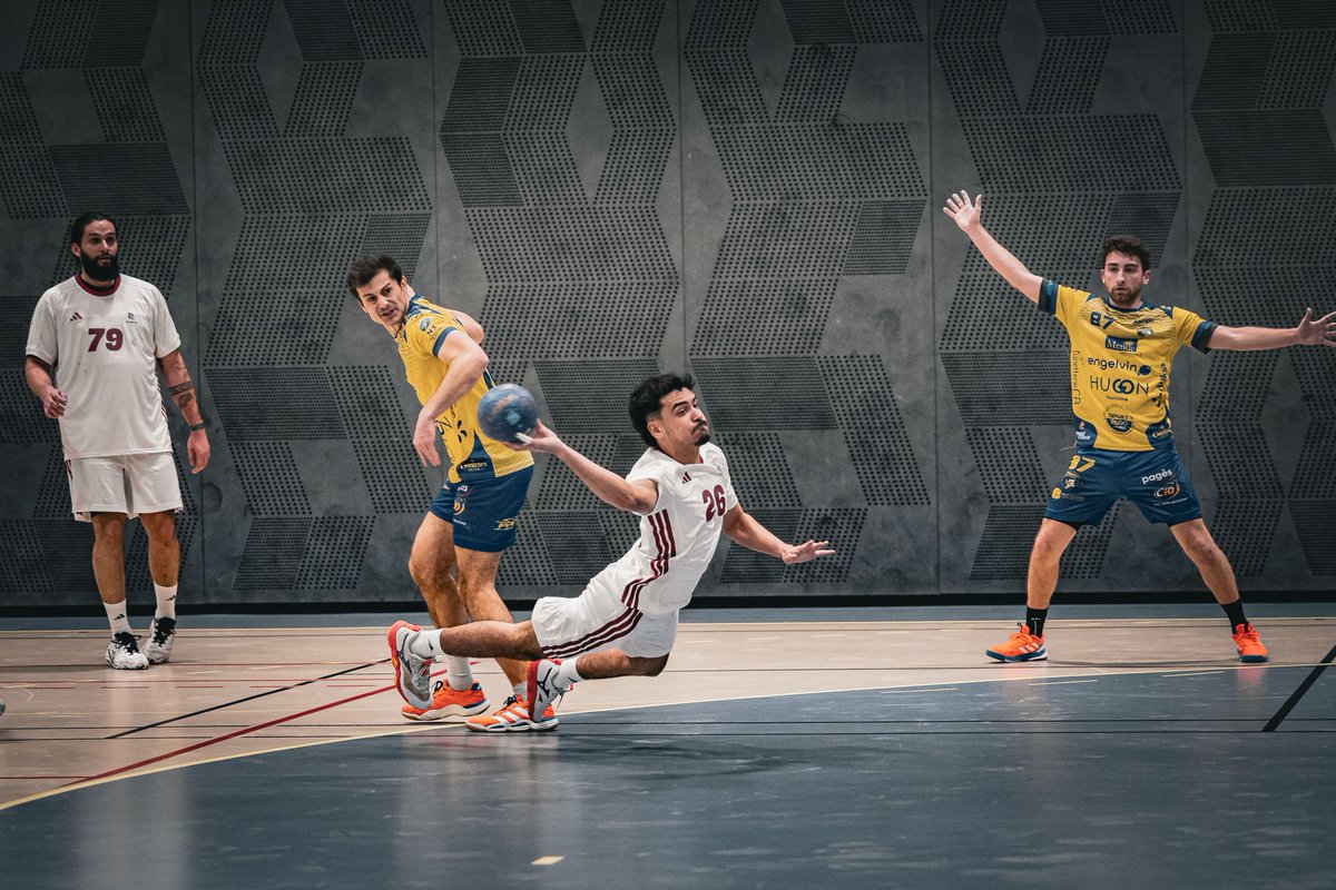 FFHandball tweet media