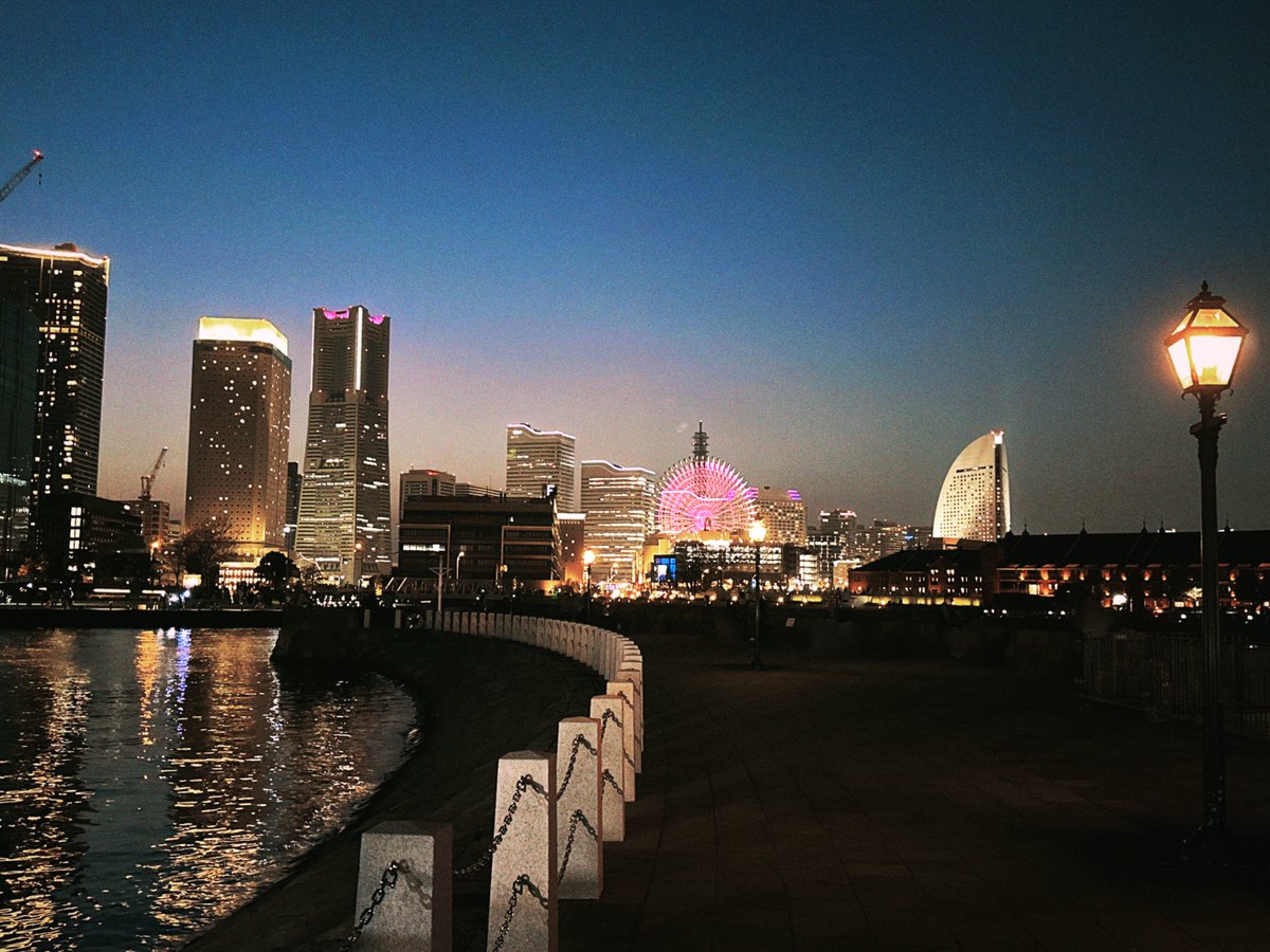 中禅寺 tweet media