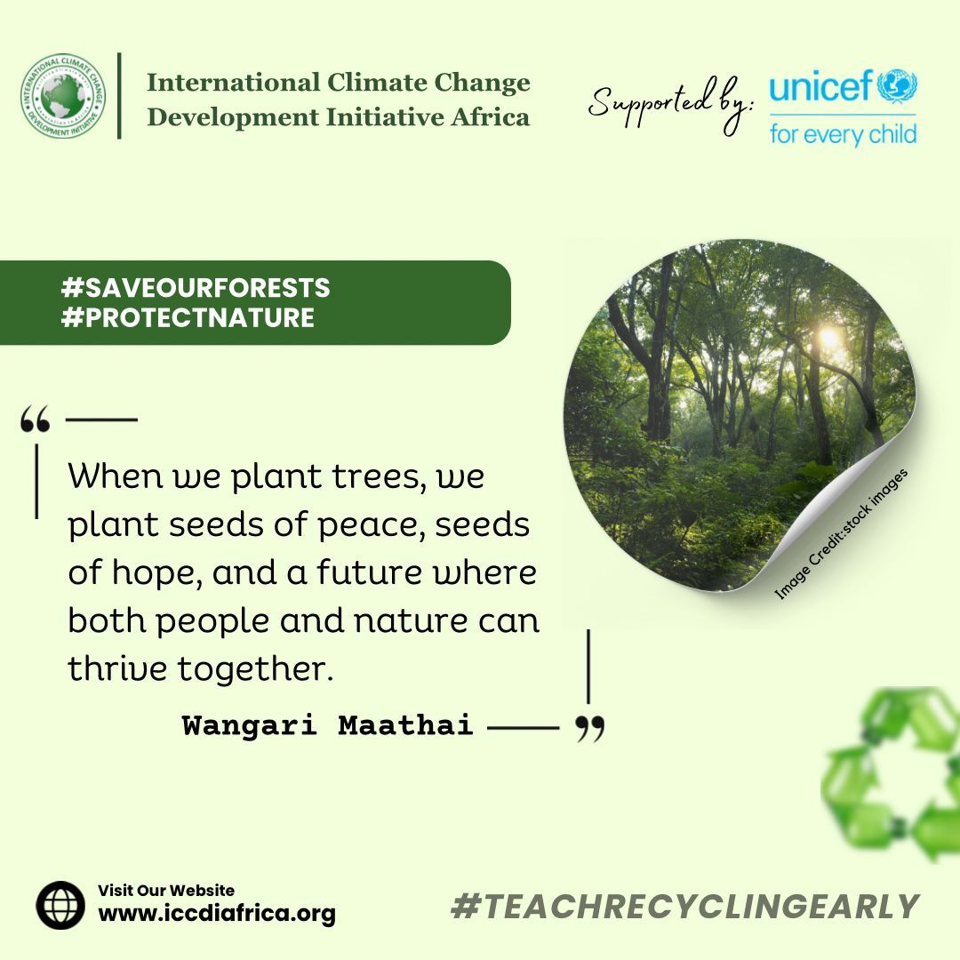 ClimateWed's tweet image. When we plant trees, we plant seeds of peace, seeds of hope, and a future where both people and nature can thrive together.— Wangari Maathai

#SaveOurForests #ProtectNature