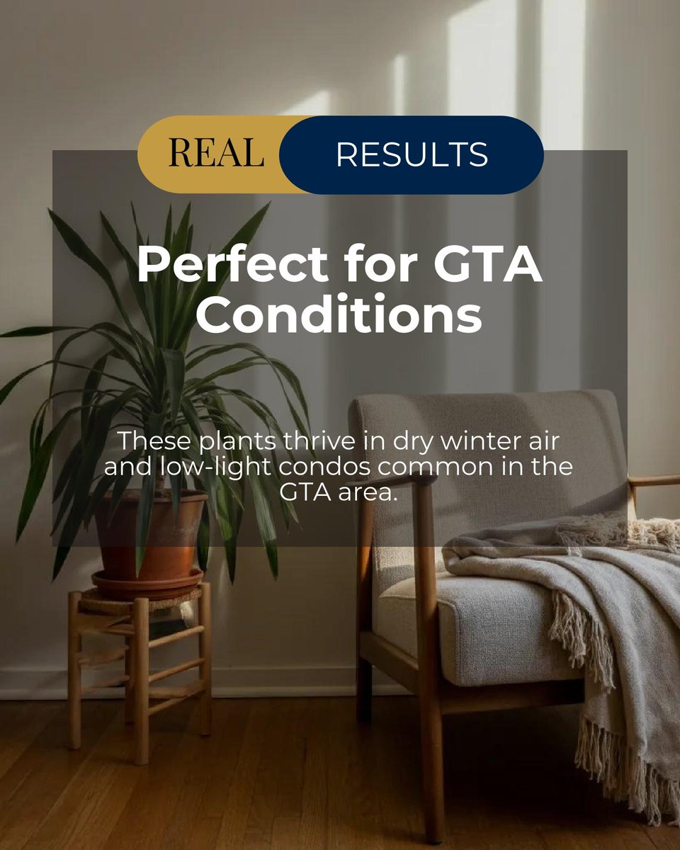 Richard Silver tweet media