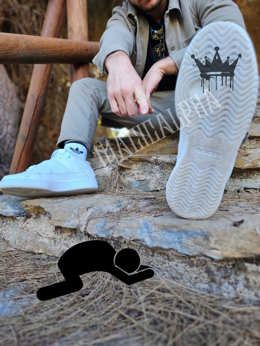 MagicAlpha tweet media