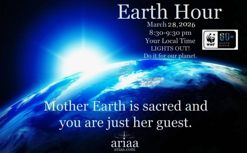 Ariaa ® tweet media