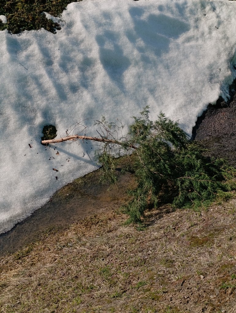 амбассадор неслучайностей tweet media