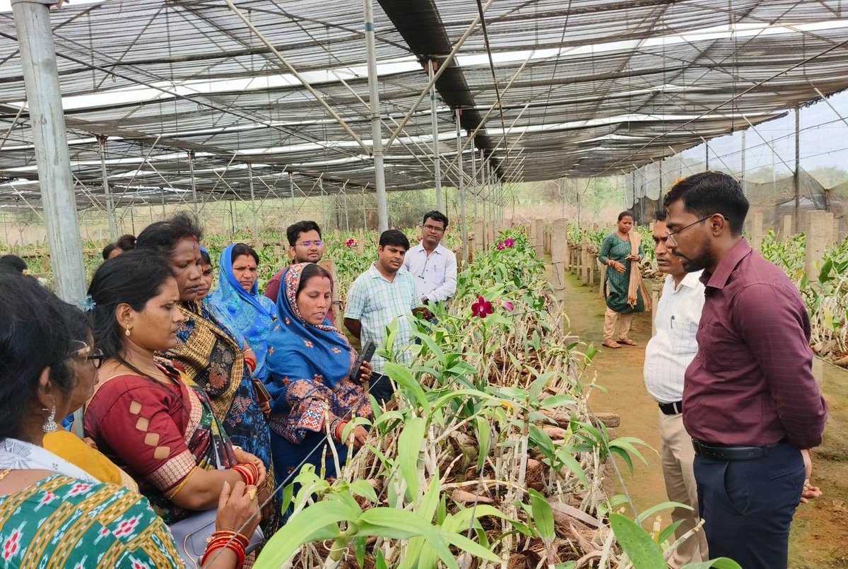 Zilla Parishad, Ganjam tweet media