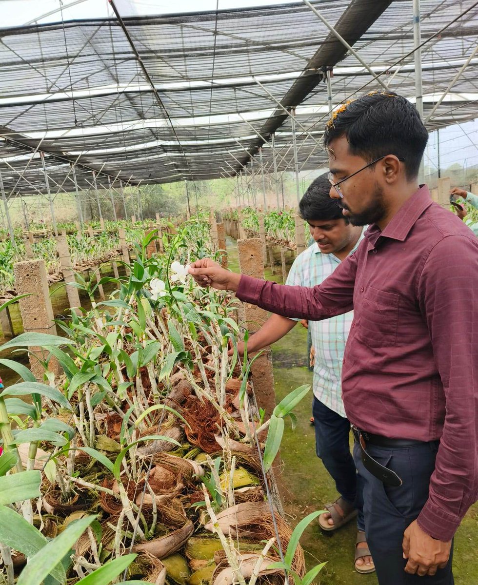 Zilla Parishad, Ganjam tweet media