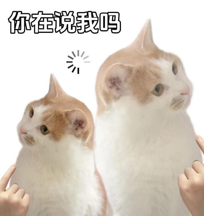 Shikalvu's tweet photo. 天气慢慢暖和起来了。又快到夏天了啊…夏天又有很多事可以做了。相比于冬天的潮湿，还是夏天更喜欢一些。（不包括梅雨季节。） https://t.co/6eV2V4bpxX
