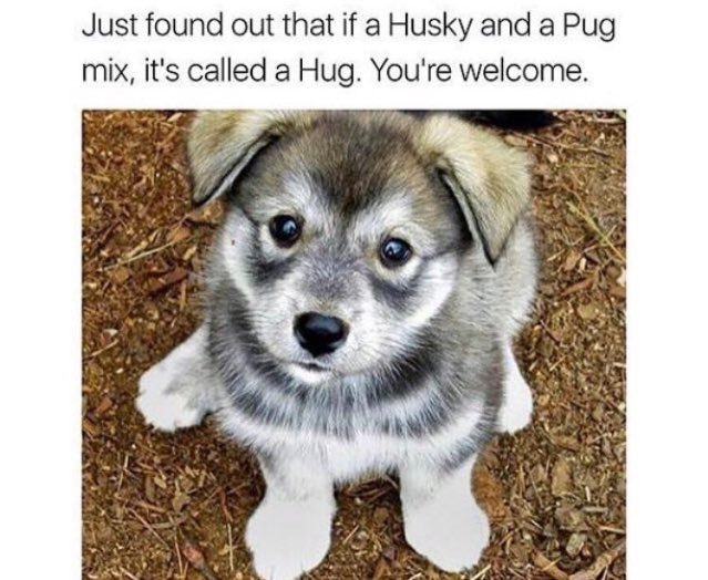 Kylie Riordan tweet media