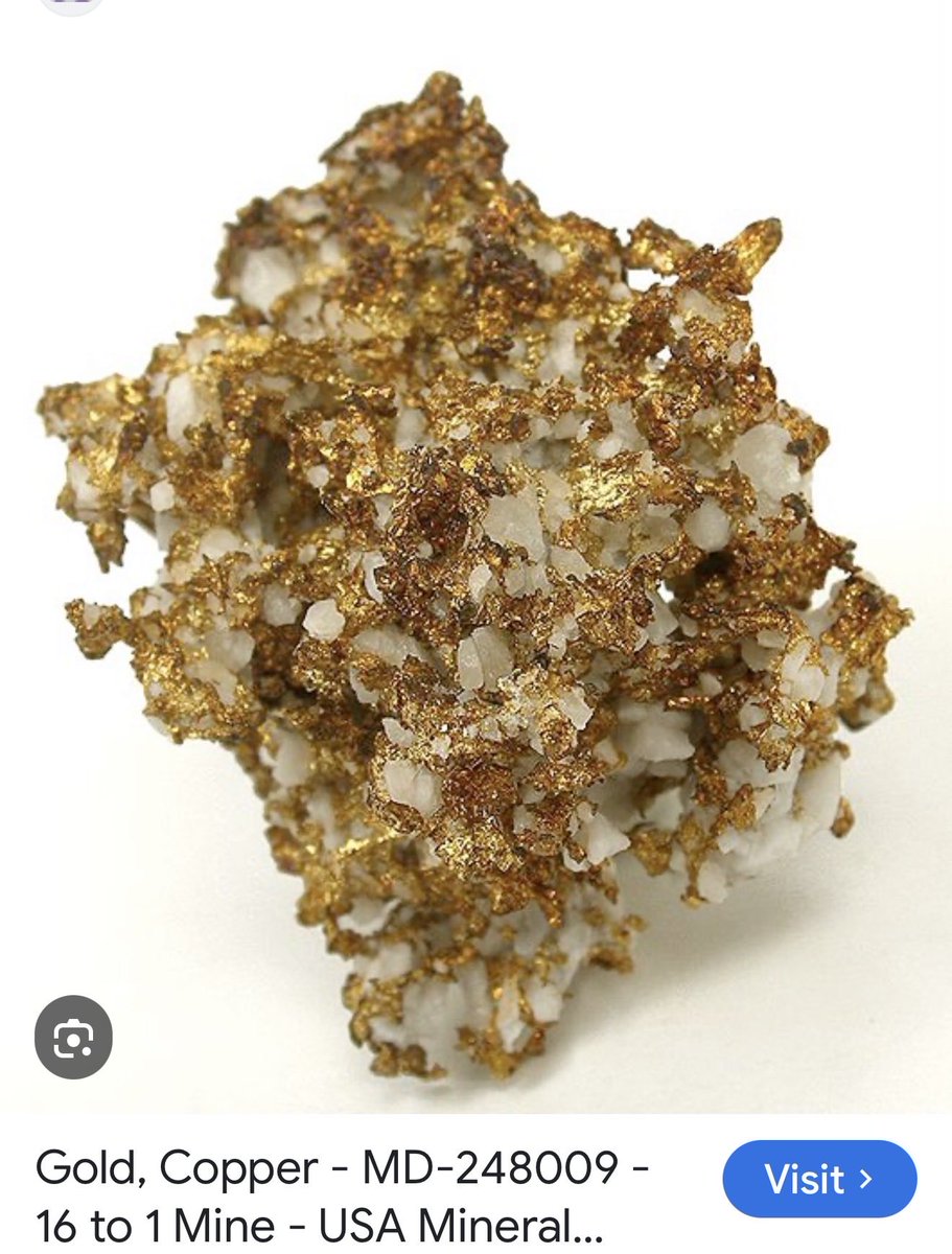 David Lenigas tweet media