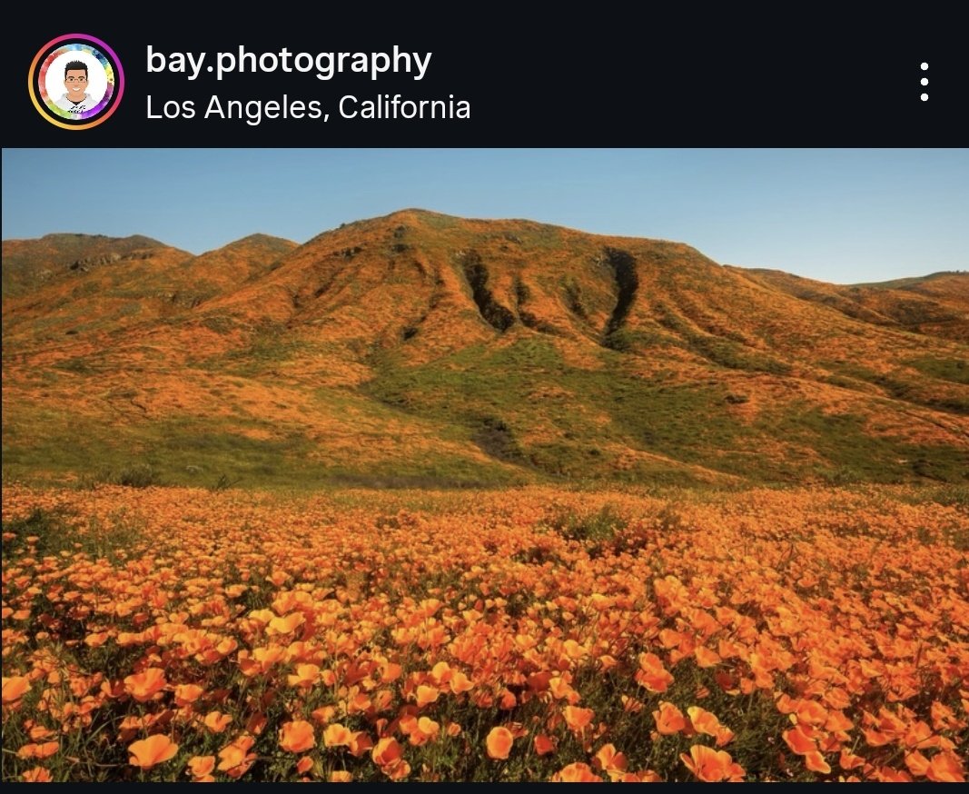 Shoshana Weissmann, Sloth Committee Chair 🦥 tweet media