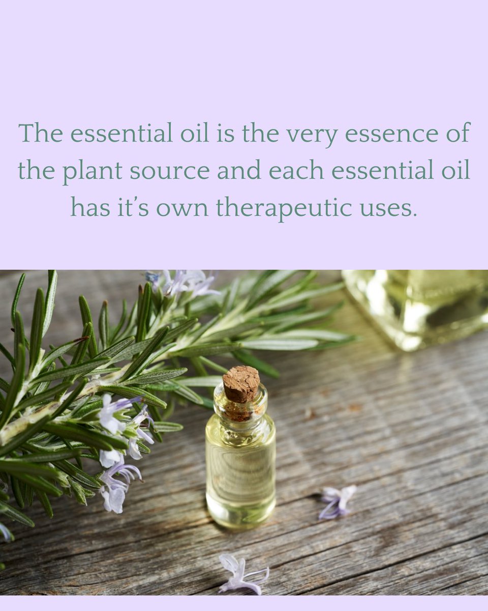 Louisa Alessandra Pini tweet media