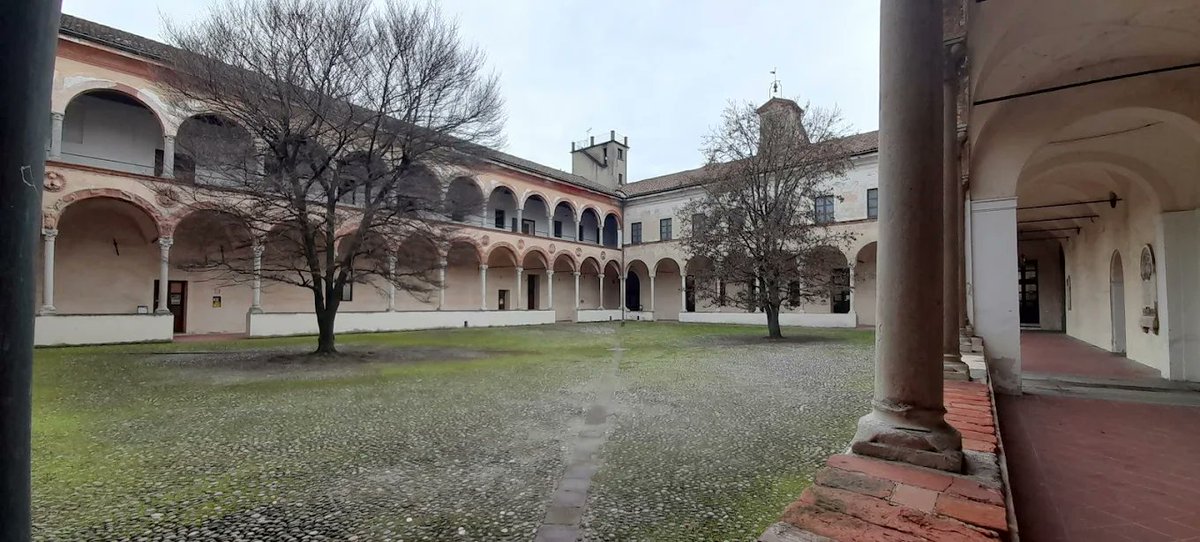 OLIMPIA NIGLIO tweet media