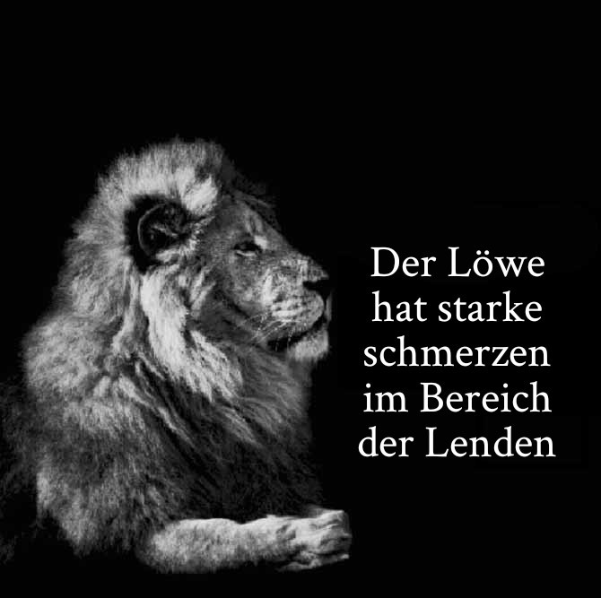 PeterPommdöner⚜️🍉 tweet media